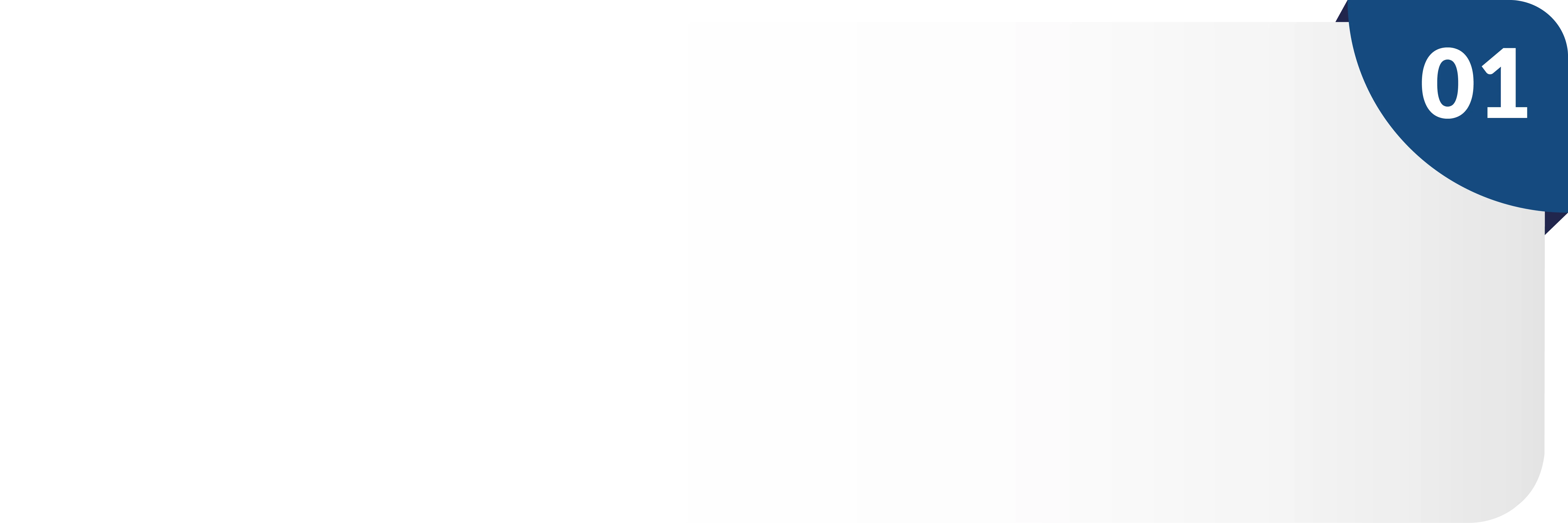 Descripción