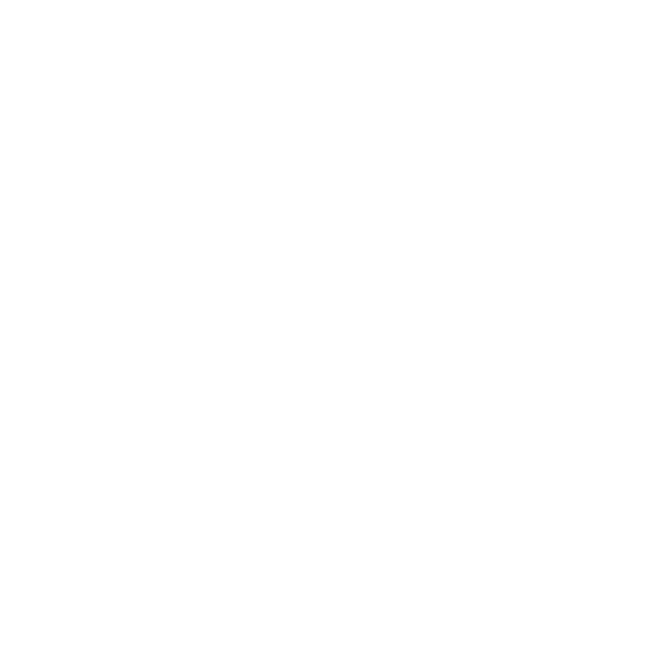 BDN Logo