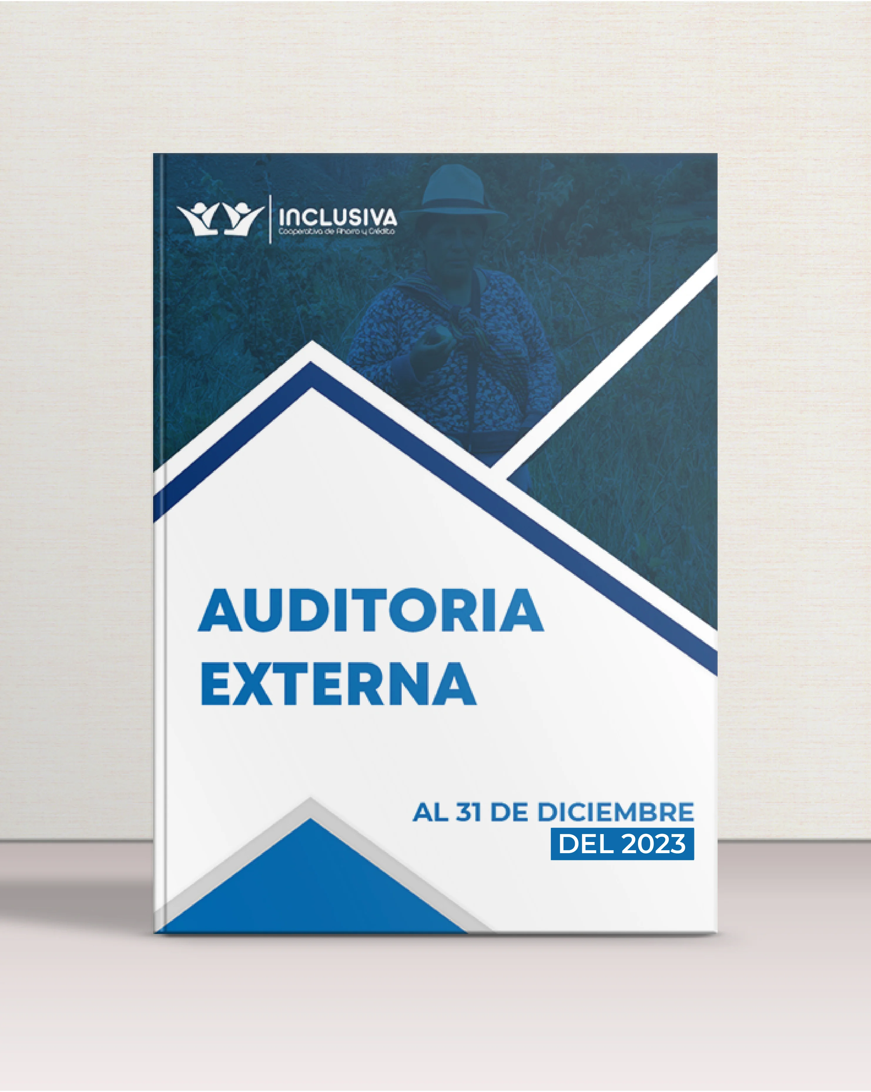 auditoria externa 2020